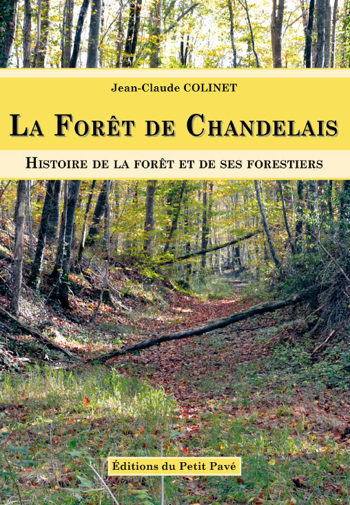 La Forêt de Chandelais - Photo chandelais.jpg