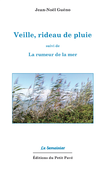 Veille, rideau de pluie - Photo veille_rideau_de_pluie-de_jean-noel_gueno-aux_editions_du_petit_pave.jpg