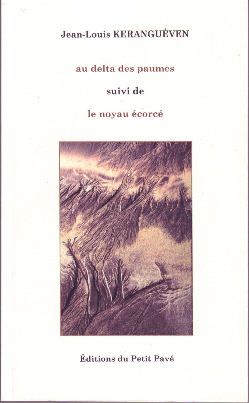 au delta des paumes aux Editions du Petit Pavé