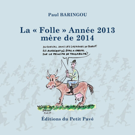 La Folle année 2013