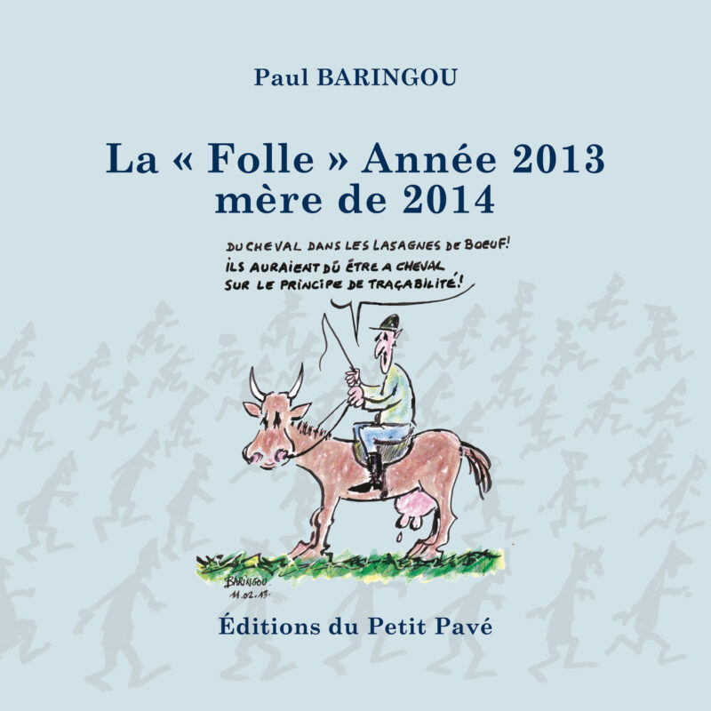 La Folle année 2013