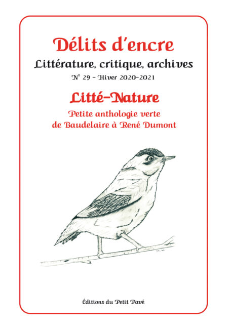 Délits d'encre n°29 aux Editions du Petit Pavé