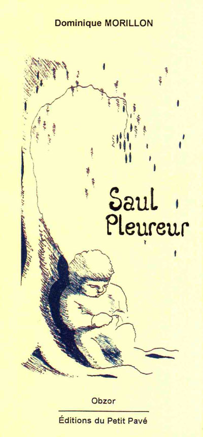 Saul Pleureur aux Editions du Petit Pavé
