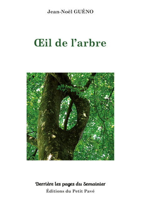 Œil de l'arbre