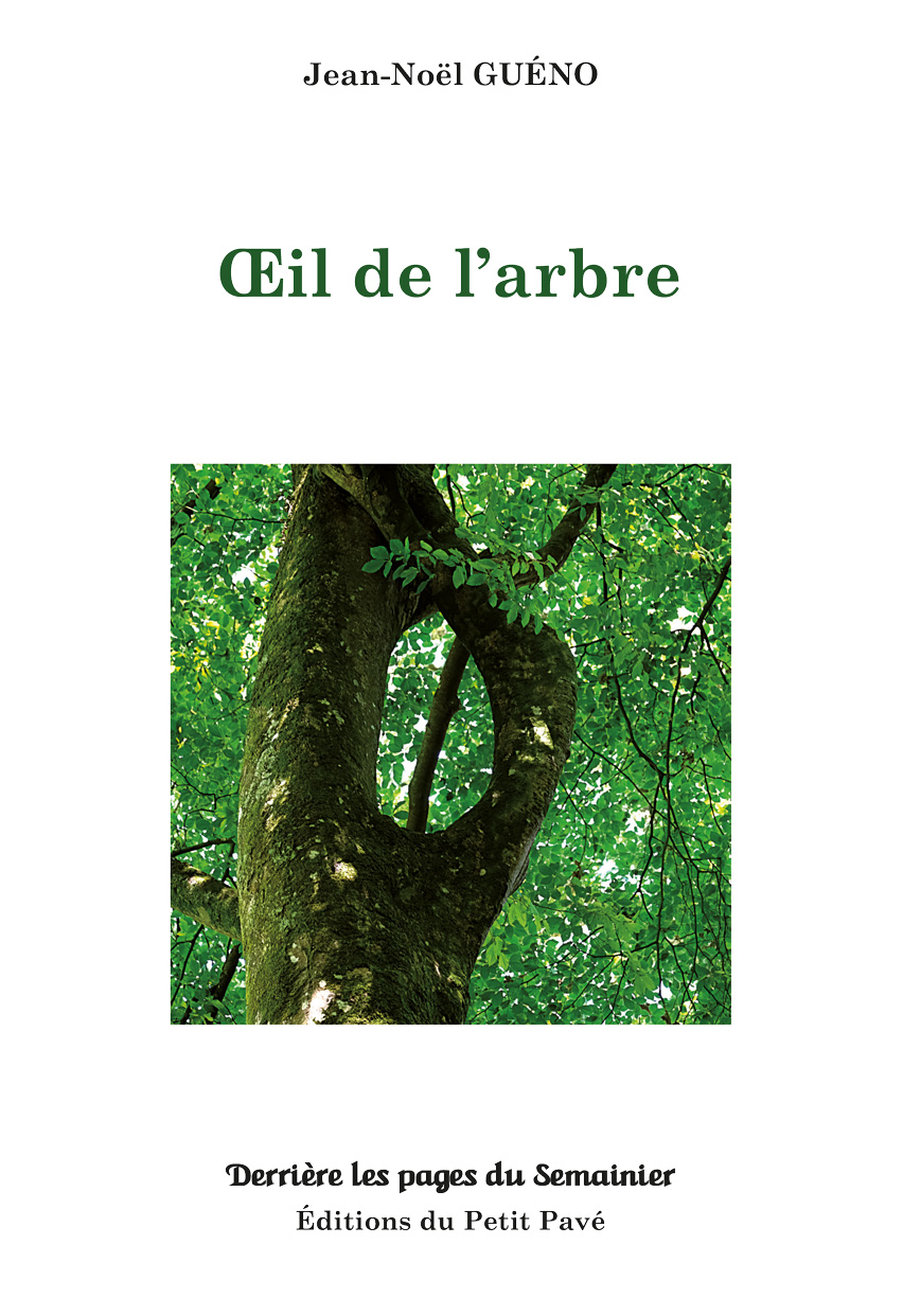 Œil de l'arbre